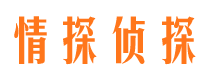 鸡东市调查公司